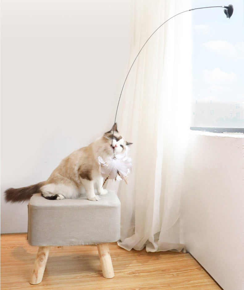 Jouet pour chat / Drôle de cloche, baguette de jeu