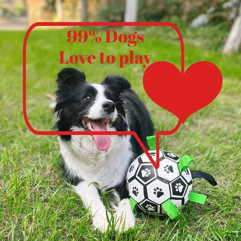 Le-jouet-pour-chien-Ballon-Football-interactif-pour-chien1