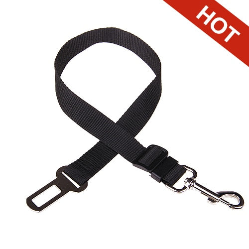 La ceinture de sécurité pour chien (UNE CEINTURE GRATUITE POUR CHAQUE CEINTURE ACHETER)