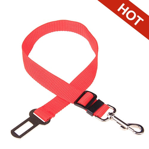 La ceinture de sécurité pour chien (UNE CEINTURE GRATUITE POUR CHAQUE CEINTURE ACHETER)
