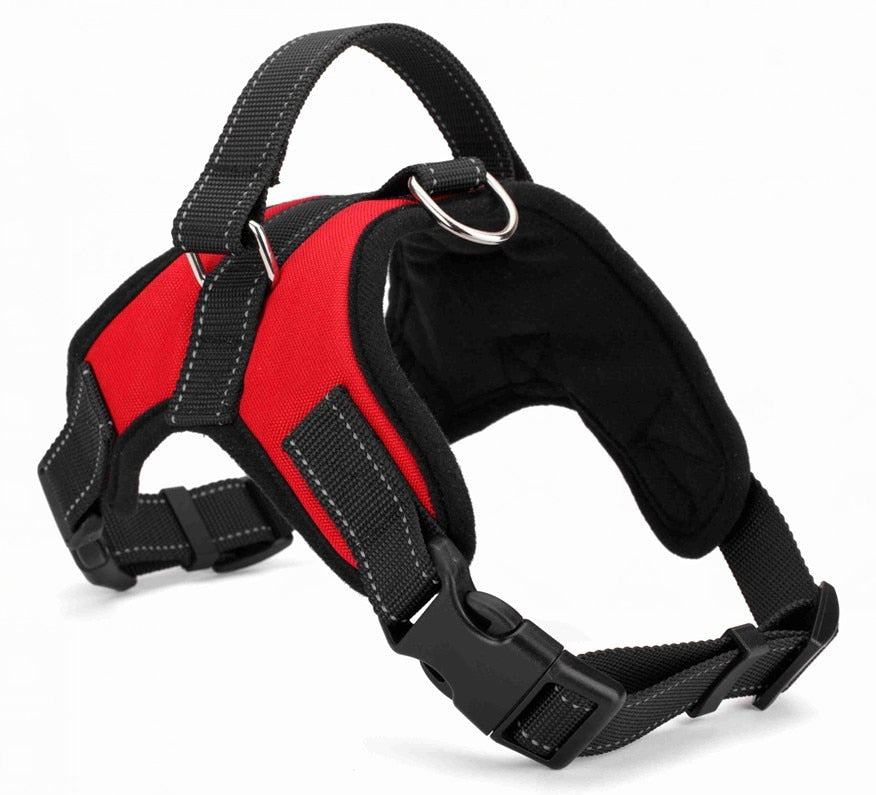 Harnais chien anti traction