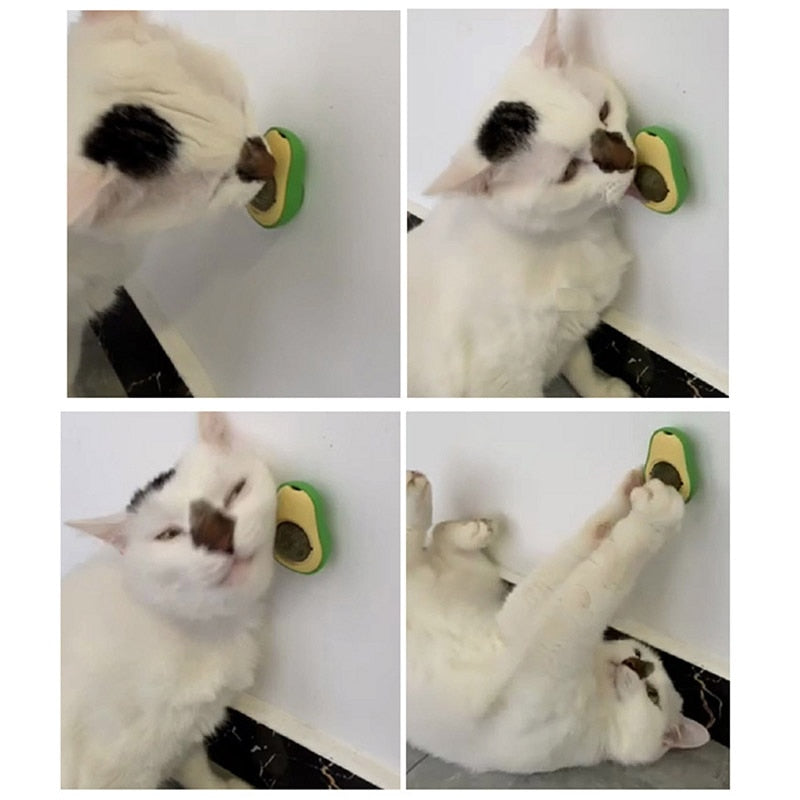 Balle herbe pour chat