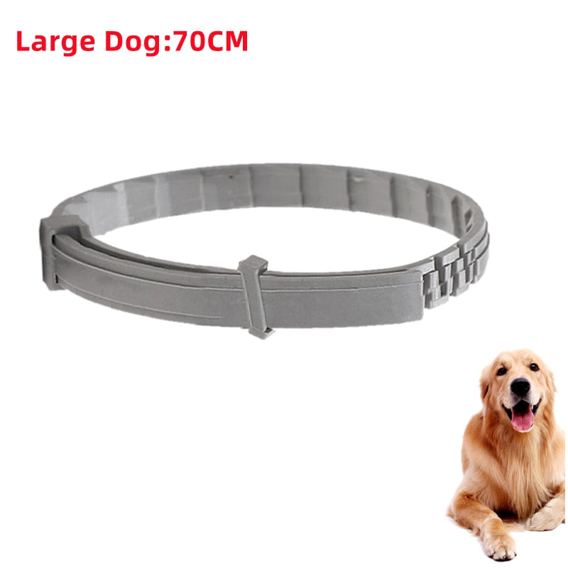 collier-anti-puce-chien3