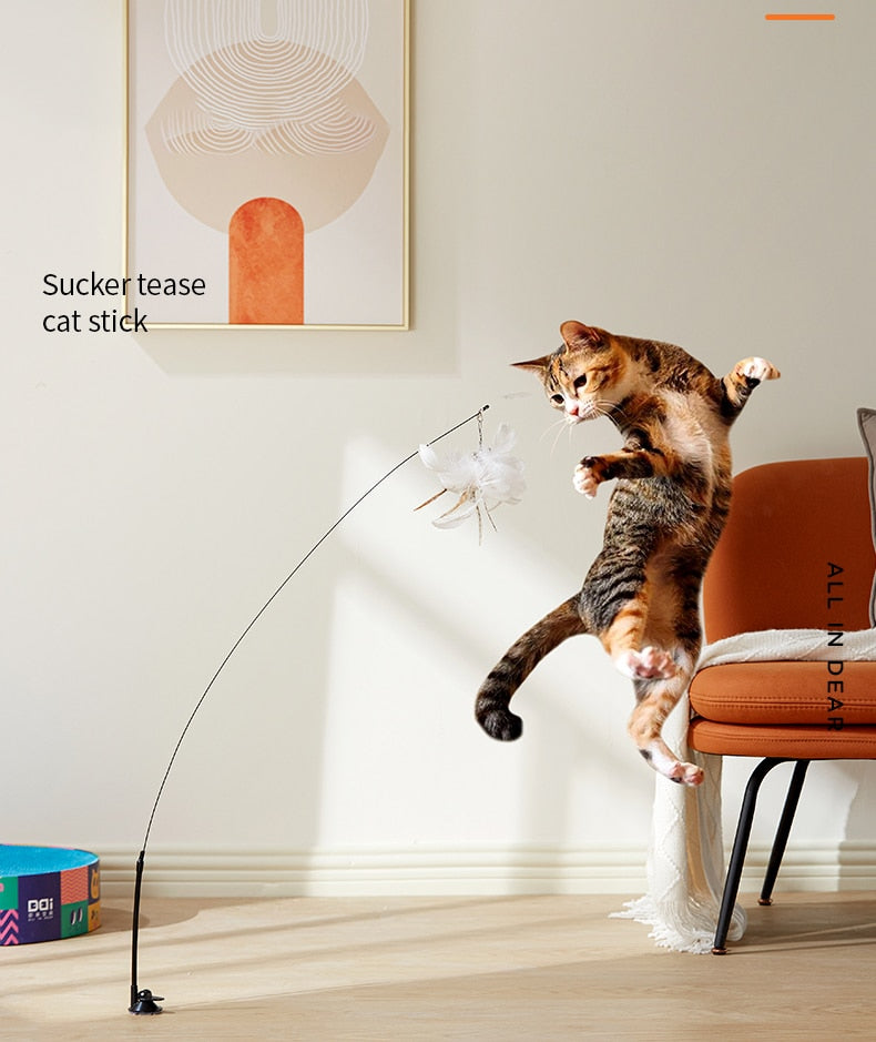 jouet-pour-chat1