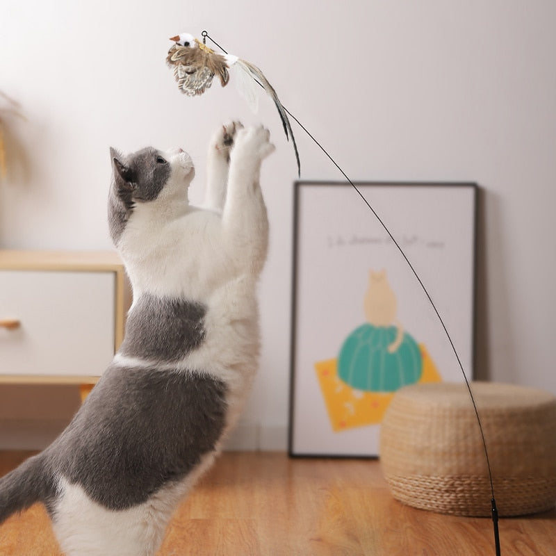 jouet-pour-chat4