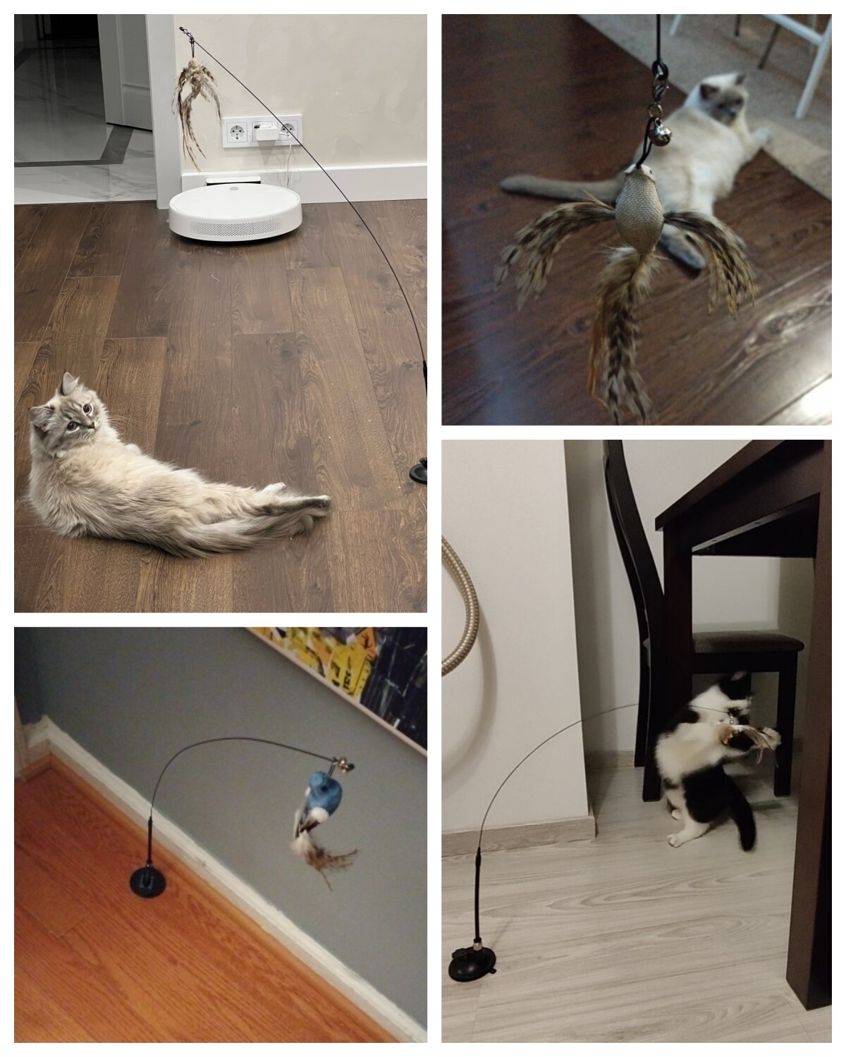 jouet-pour-chat5